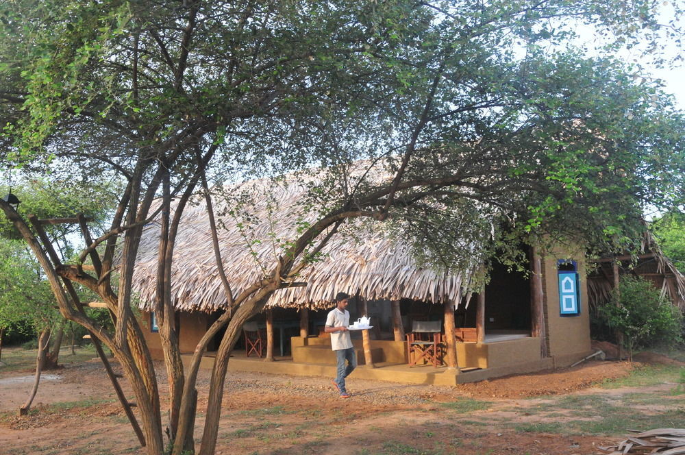 Back Of Beyond Dune Camp Yala Buitenkant foto