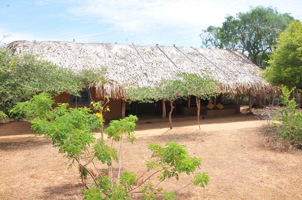 Back Of Beyond Dune Camp Yala Buitenkant foto