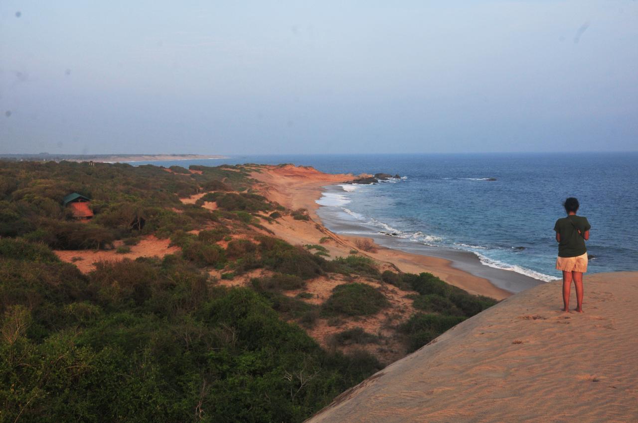 Back Of Beyond Dune Camp Yala Buitenkant foto