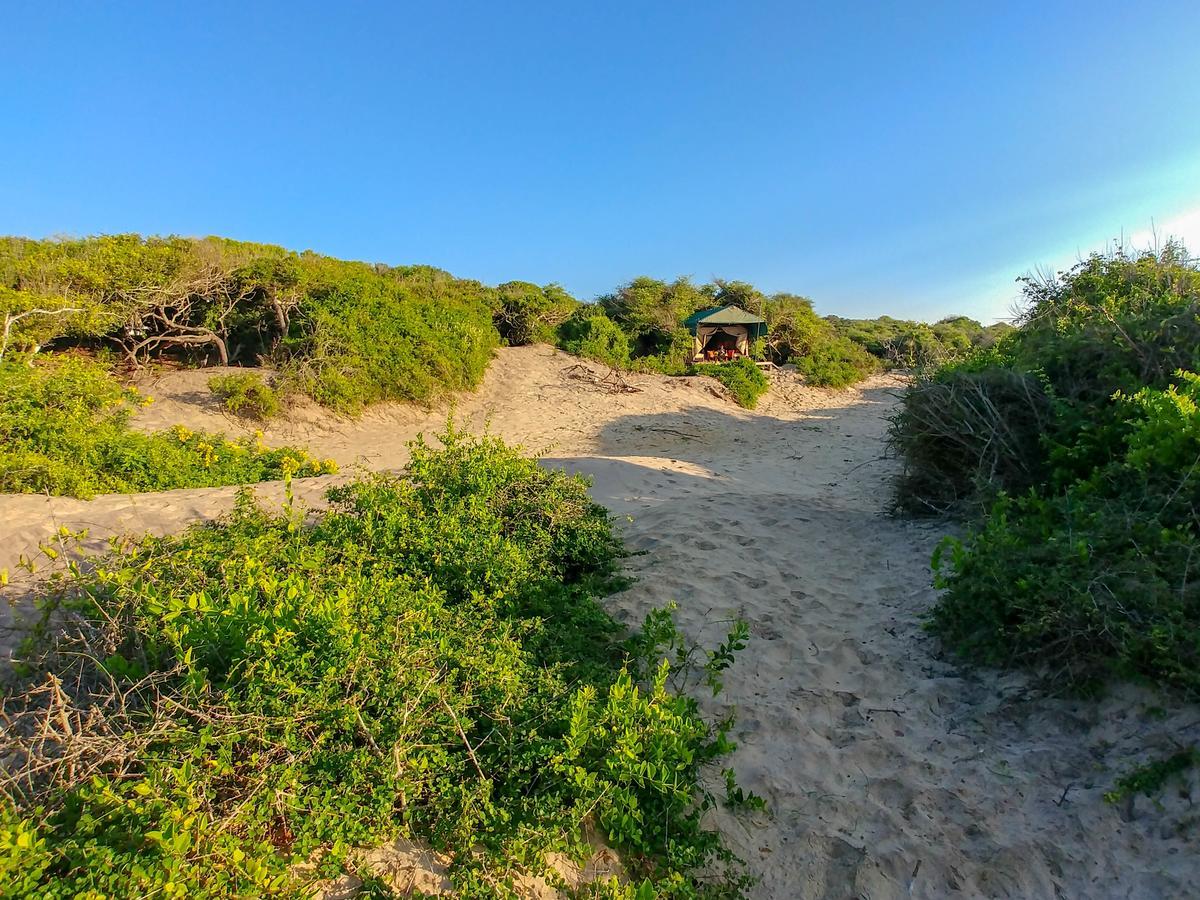 Back Of Beyond Dune Camp Yala Buitenkant foto