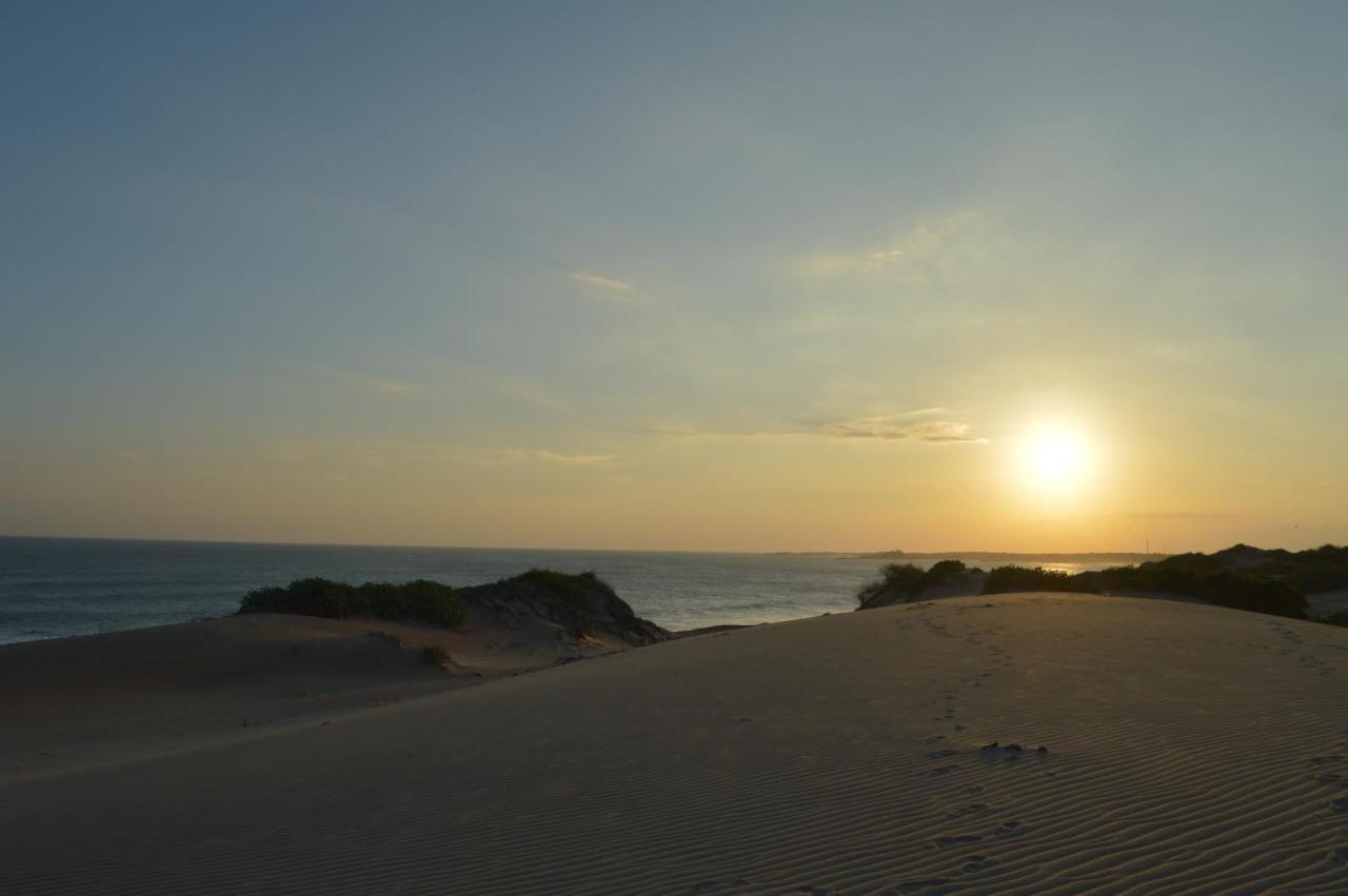 Back Of Beyond Dune Camp Yala Buitenkant foto