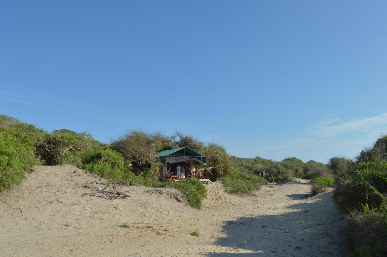 Back Of Beyond Dune Camp Yala Buitenkant foto